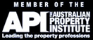 API Logo